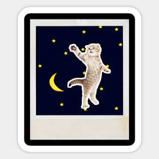 Cute Cat Sticker